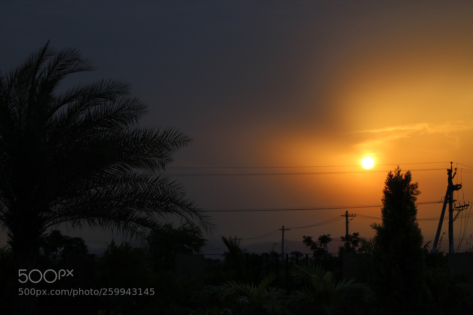 Canon EOS 1300D (EOS Rebel T6 / EOS Kiss X80) + Canon EF 50mm F1.8 STM sample photo. Sunset on a summerday photography