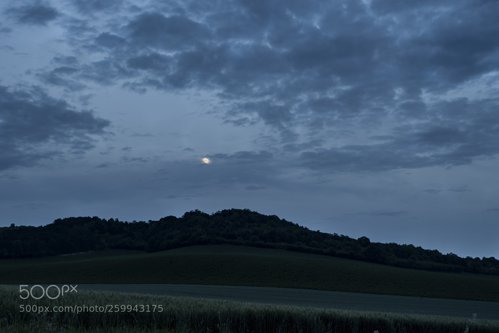 Pentax K-1 sample photo. Moonlight photography