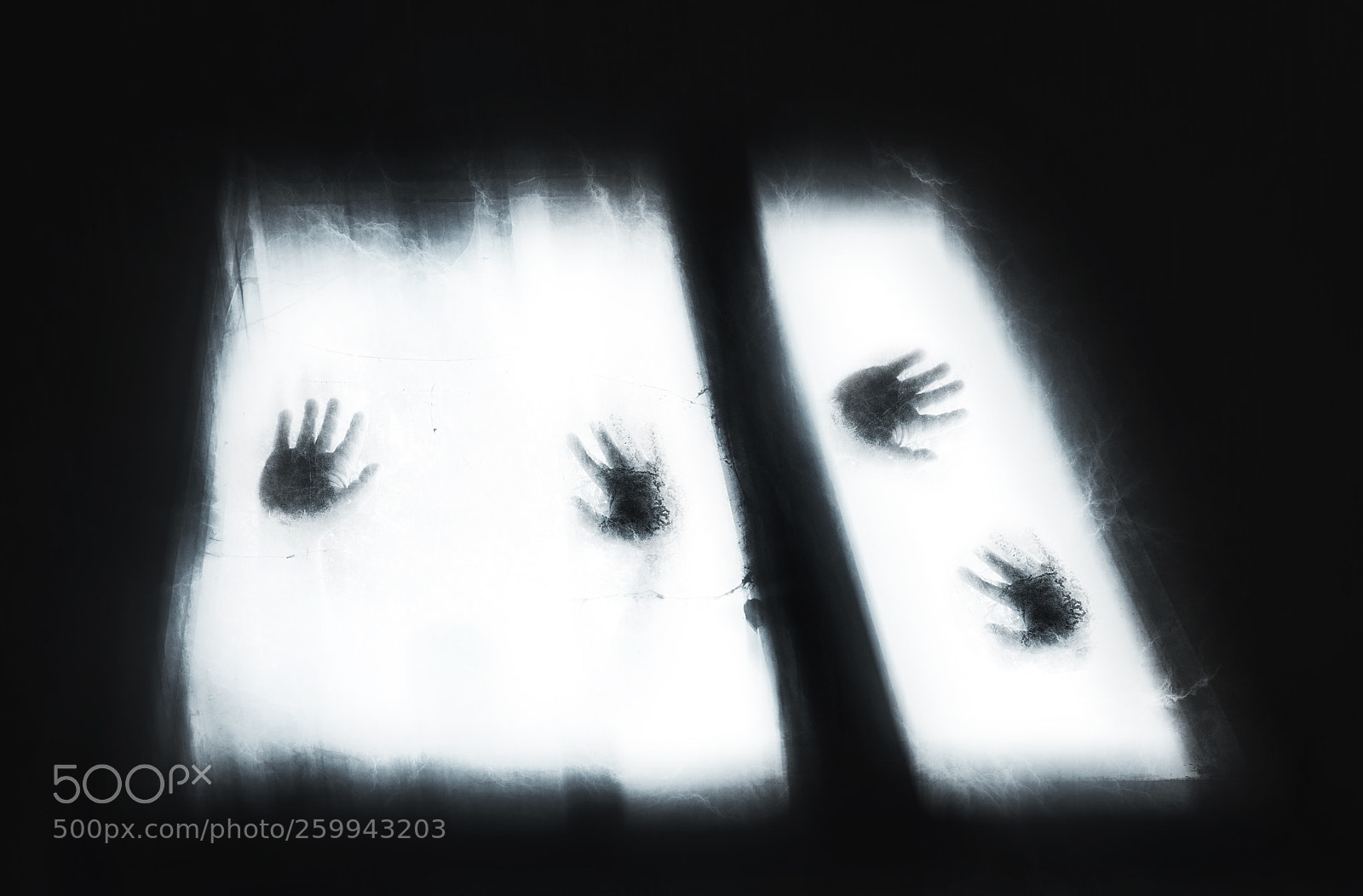 Nikon D7100 sample photo. Hands photography