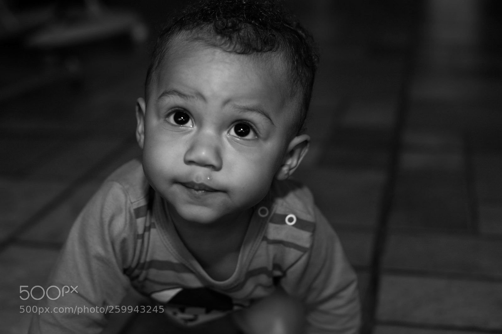 Canon EOS 6D Mark II sample photo. Catchlight photography