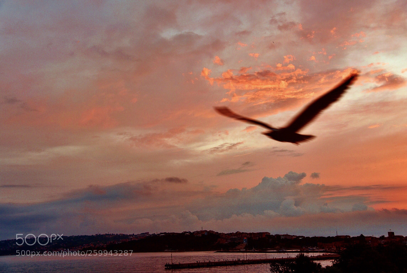 Nikon D750 sample photo. Sunset photography
