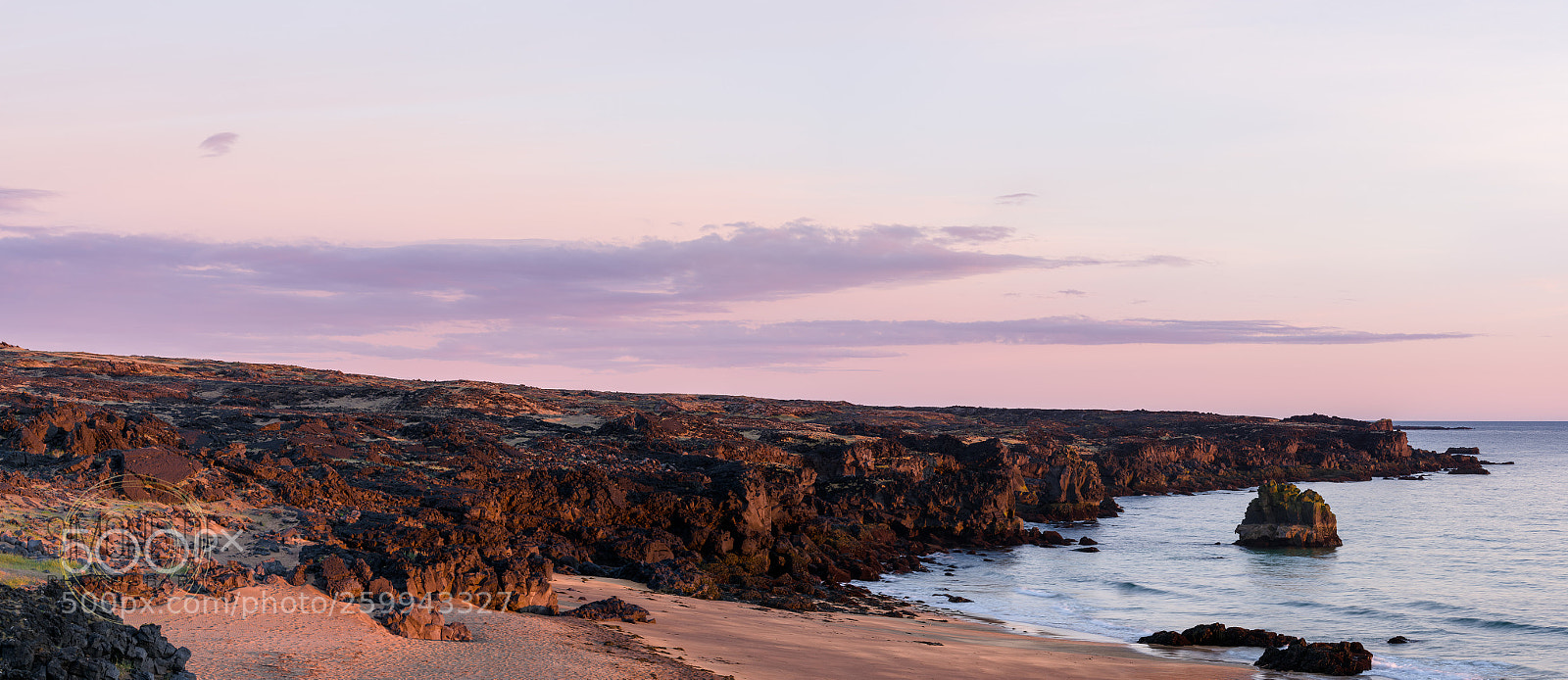 Sony a7R II sample photo. Pink 6 photography