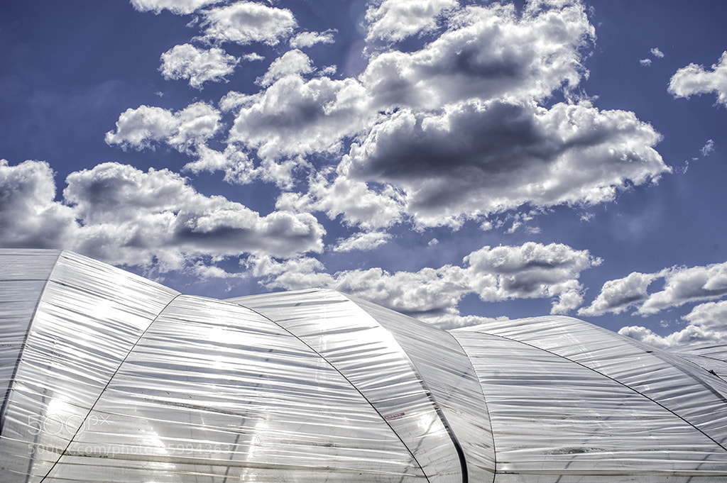Nikon D700 sample photo. Sky and plastic sheets photography