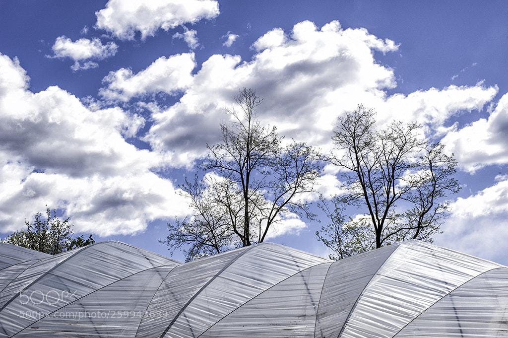 Nikon D700 sample photo. Sky and plastic sheets photography
