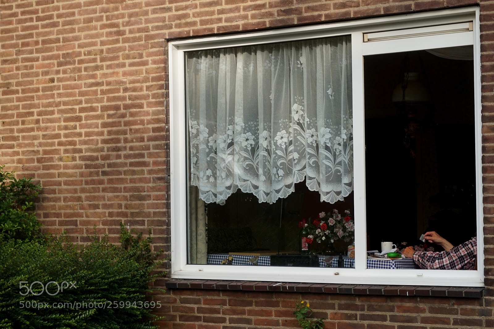 Sony Alpha a5000 (ILCE 5000) sample photo. Untitled photography