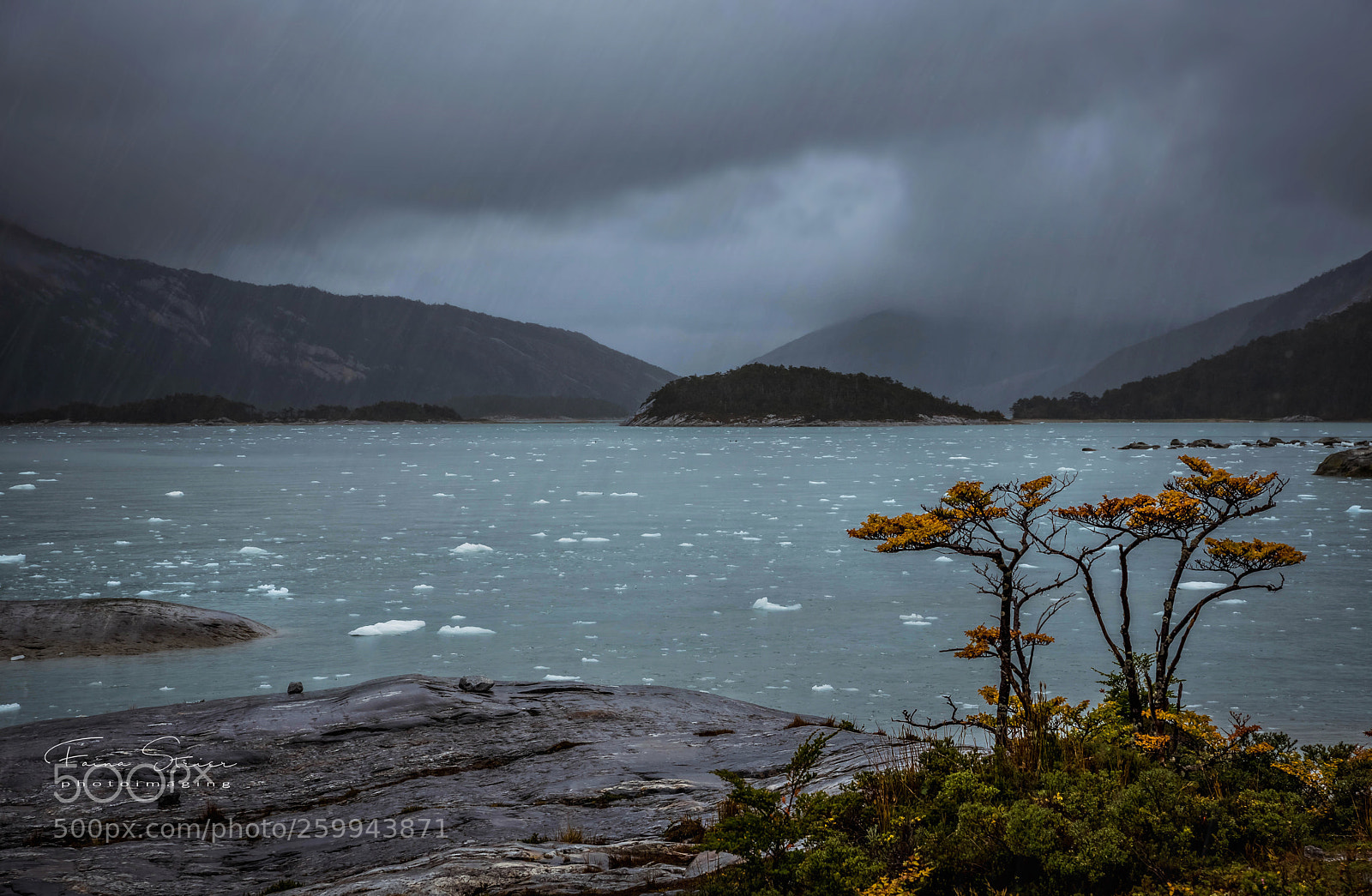Nikon D750 sample photo. It's raining, it's pouring.. photography