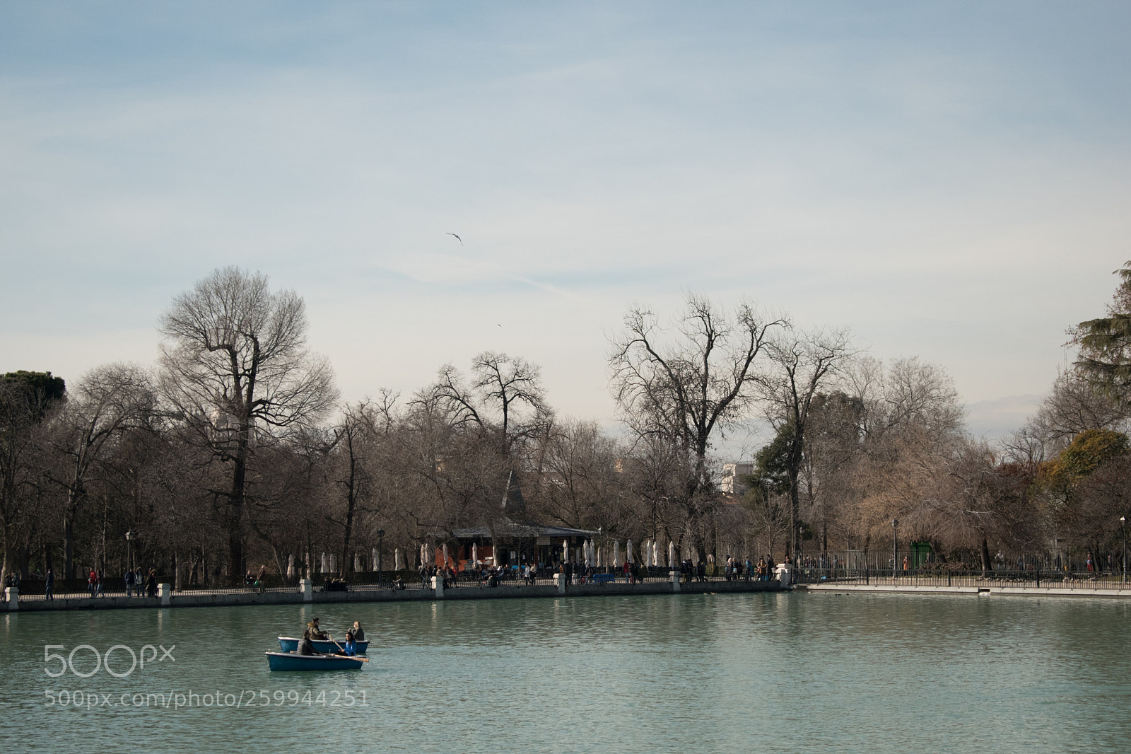 Nikon D5600 sample photo. Untitled photography