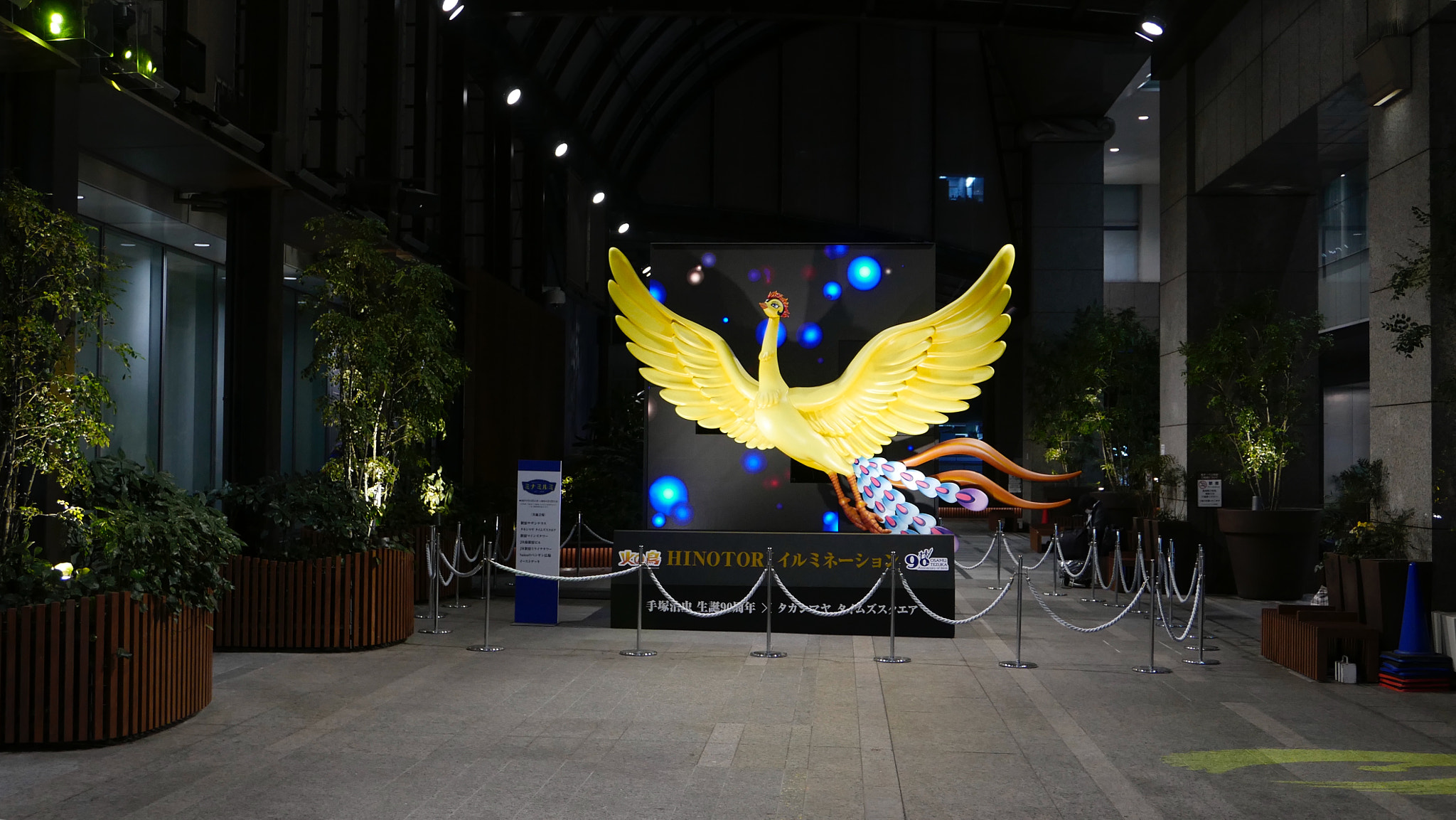 Leica D-Lux (Typ 109) sample photo. 黄凤凰。。。 photography
