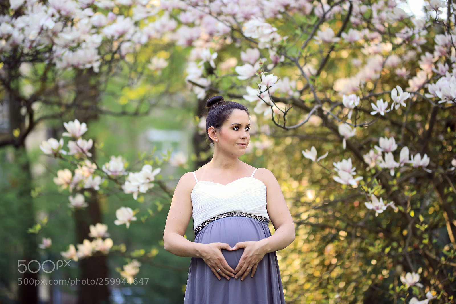 Canon EOS 6D sample photo. Pregnancy photography