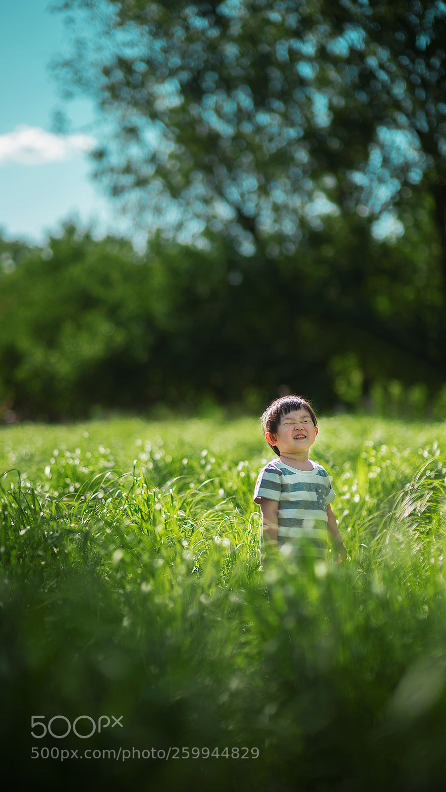 Nikon D4S sample photo. Untitled photography