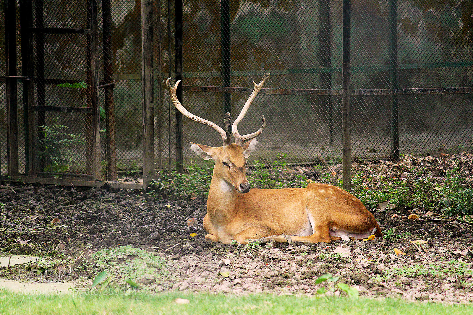 Canon EOS 700D (EOS Rebel T5i / EOS Kiss X7i) sample photo. Img photography
