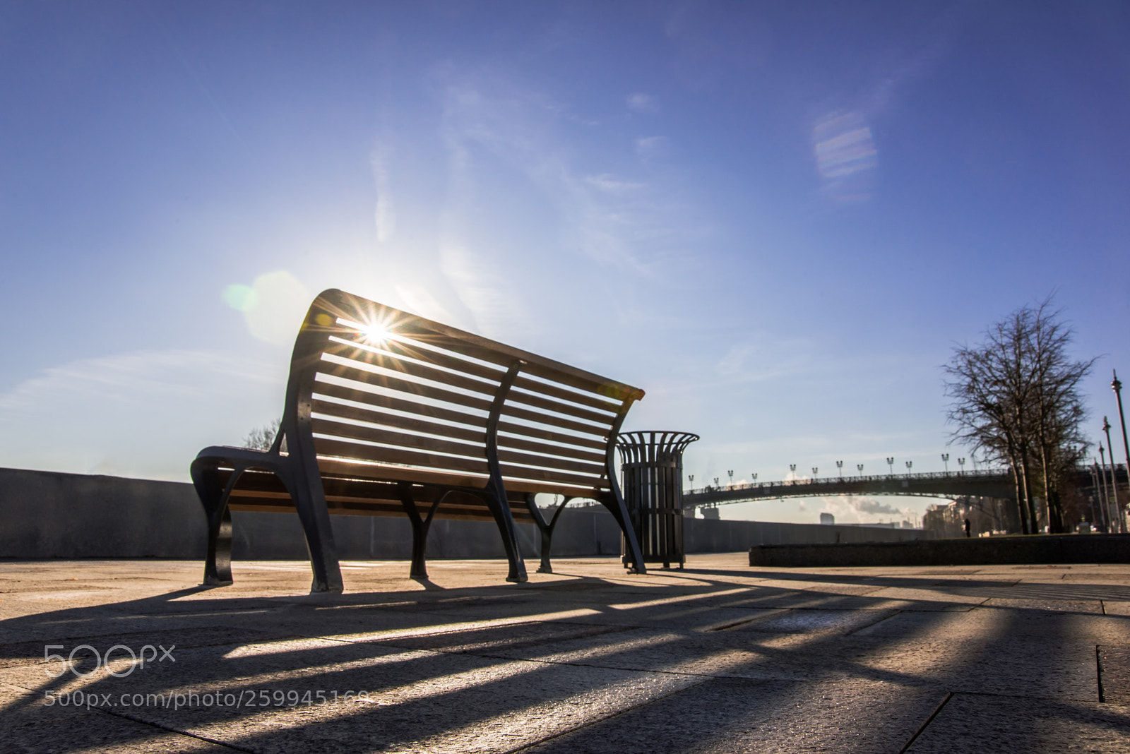 Nikon D750 sample photo. City summer photography