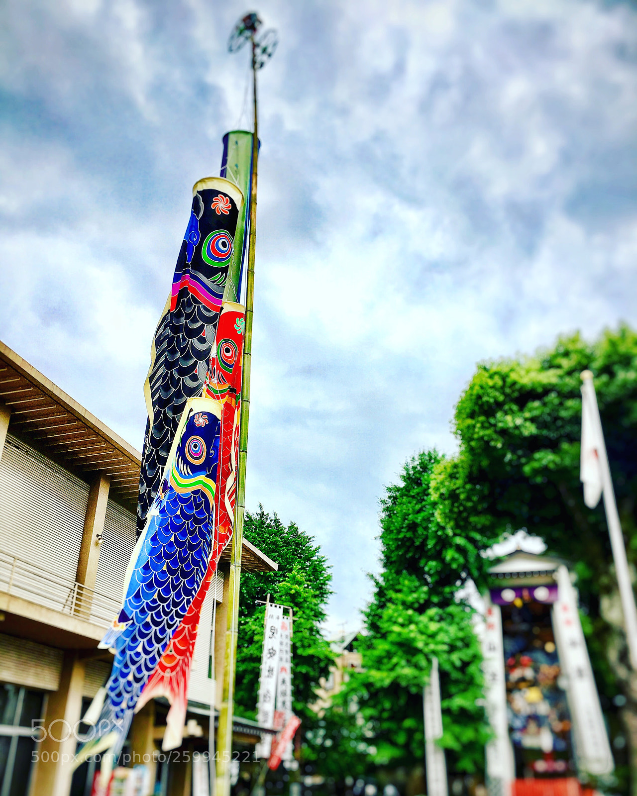 Apple iPhone 6s Plus sample photo. こいのぼりkoinobori photography