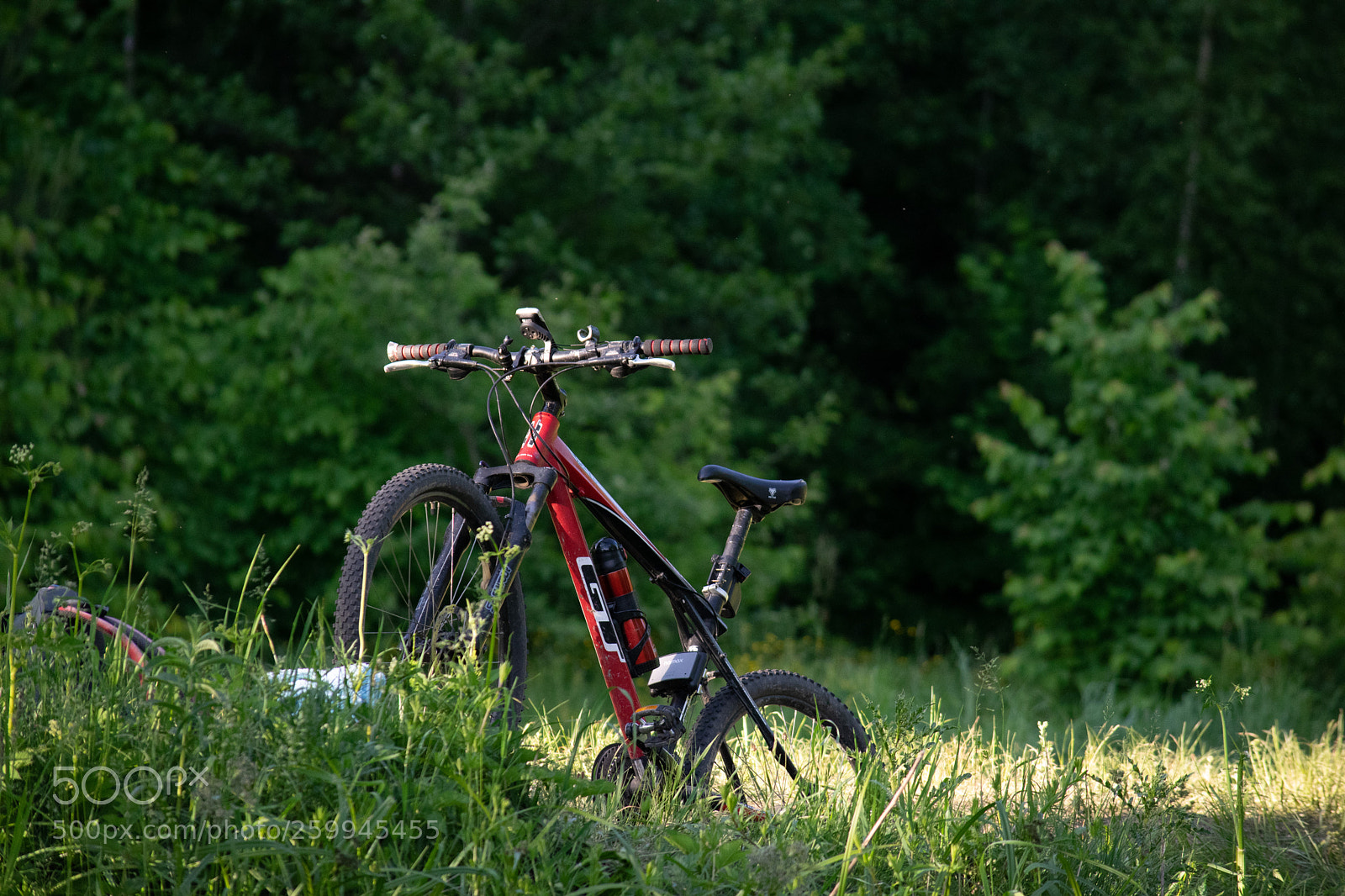 Nikon D5300 sample photo. Gt avalanche 2.0 photography