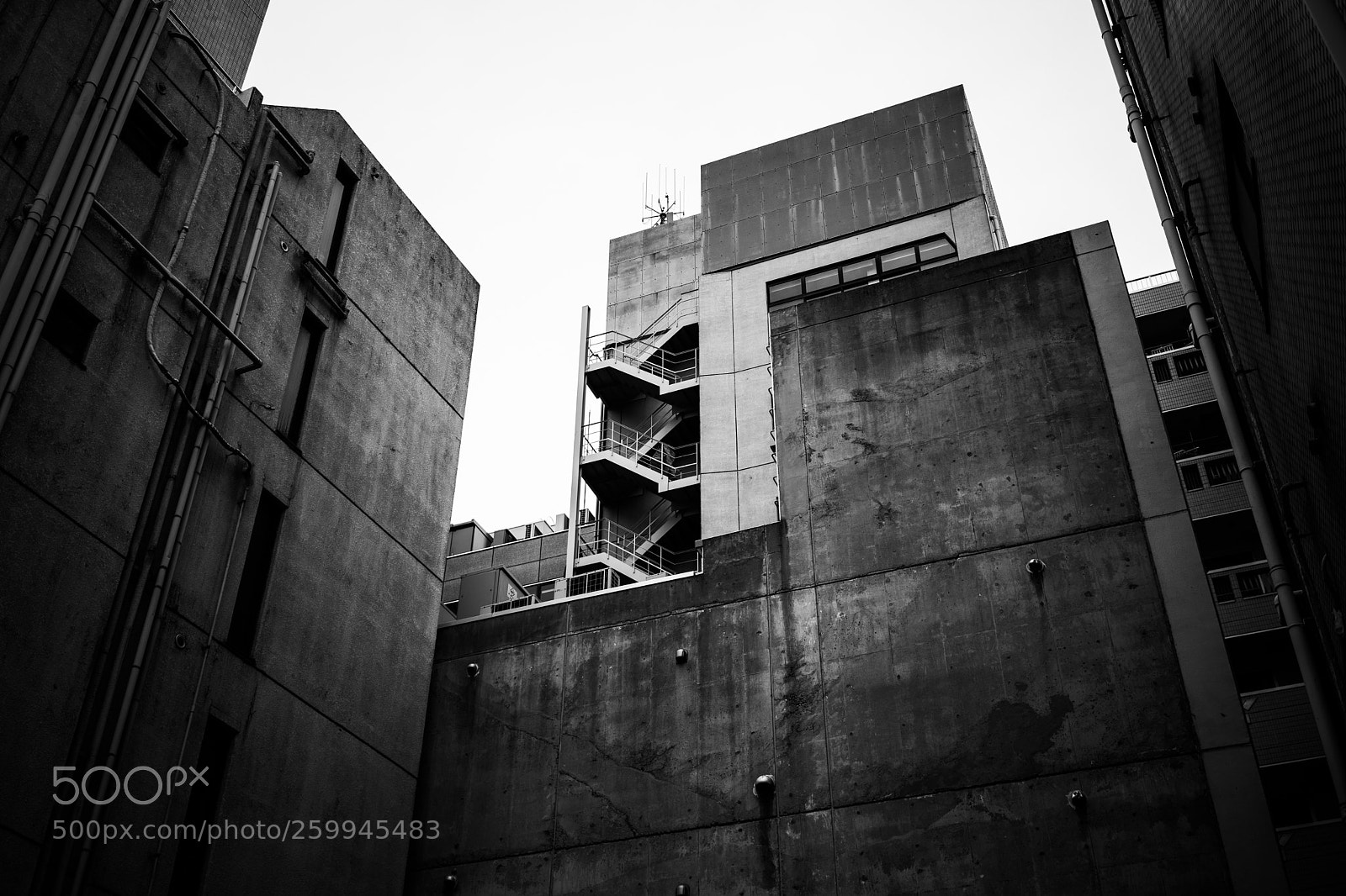 Sony a7 III sample photo. Dsc photography