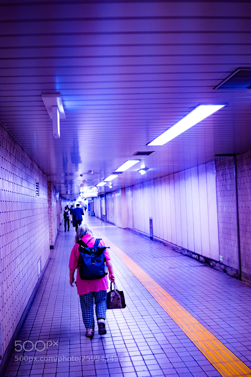 Sony a7 III sample photo. Dsc photography