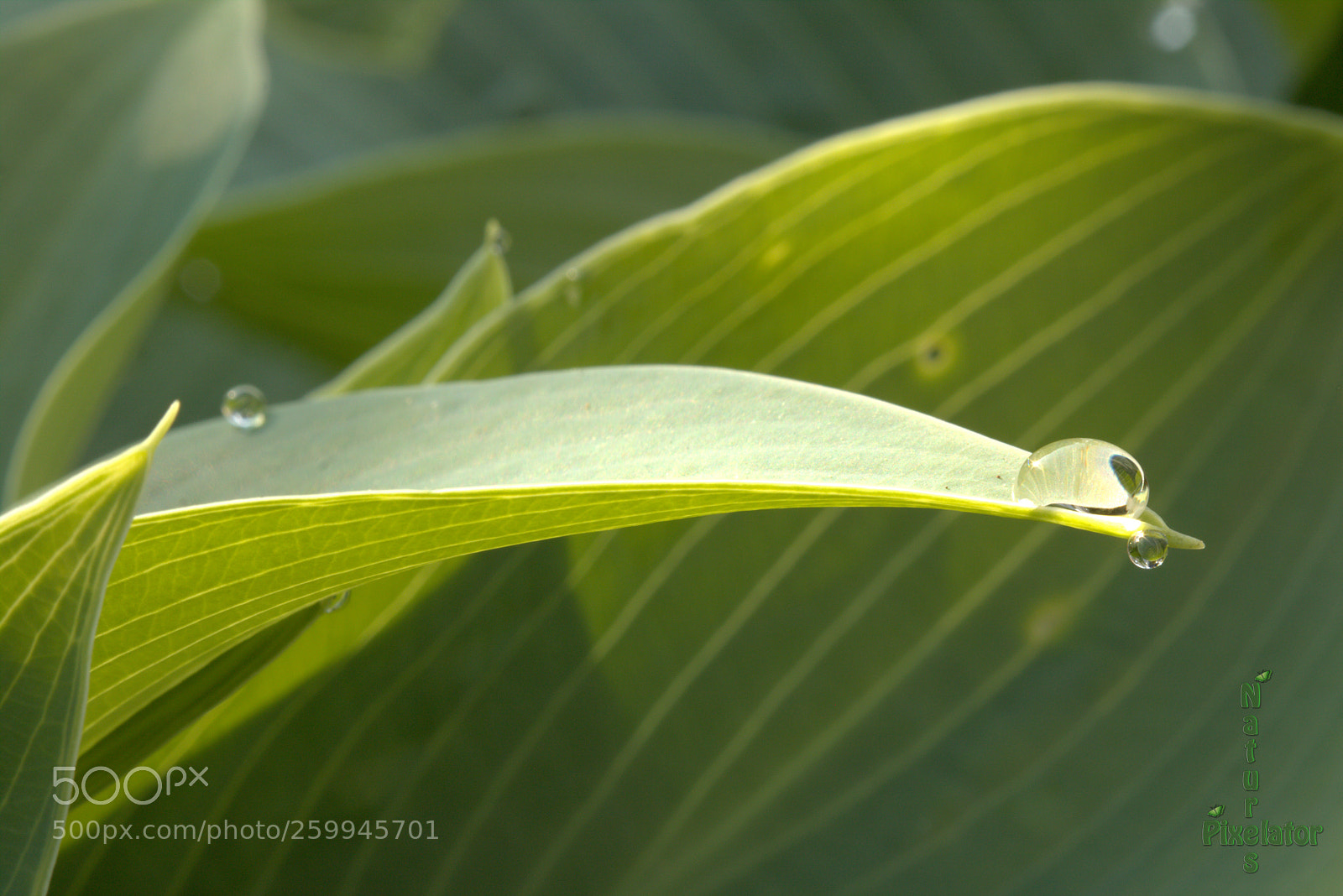 Canon EOS 750D (EOS Rebel T6i / EOS Kiss X8i) sample photo. Memories ! photography