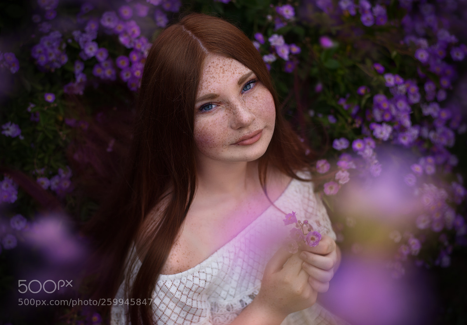 Nikon D750 sample photo. Blossoms photography