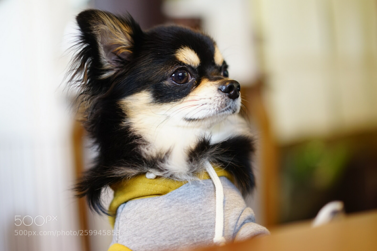 Sony a7 sample photo. Untitled photography