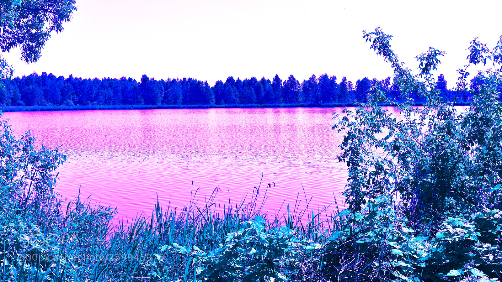 Nikon D3400 sample photo. My fantastic world. photography