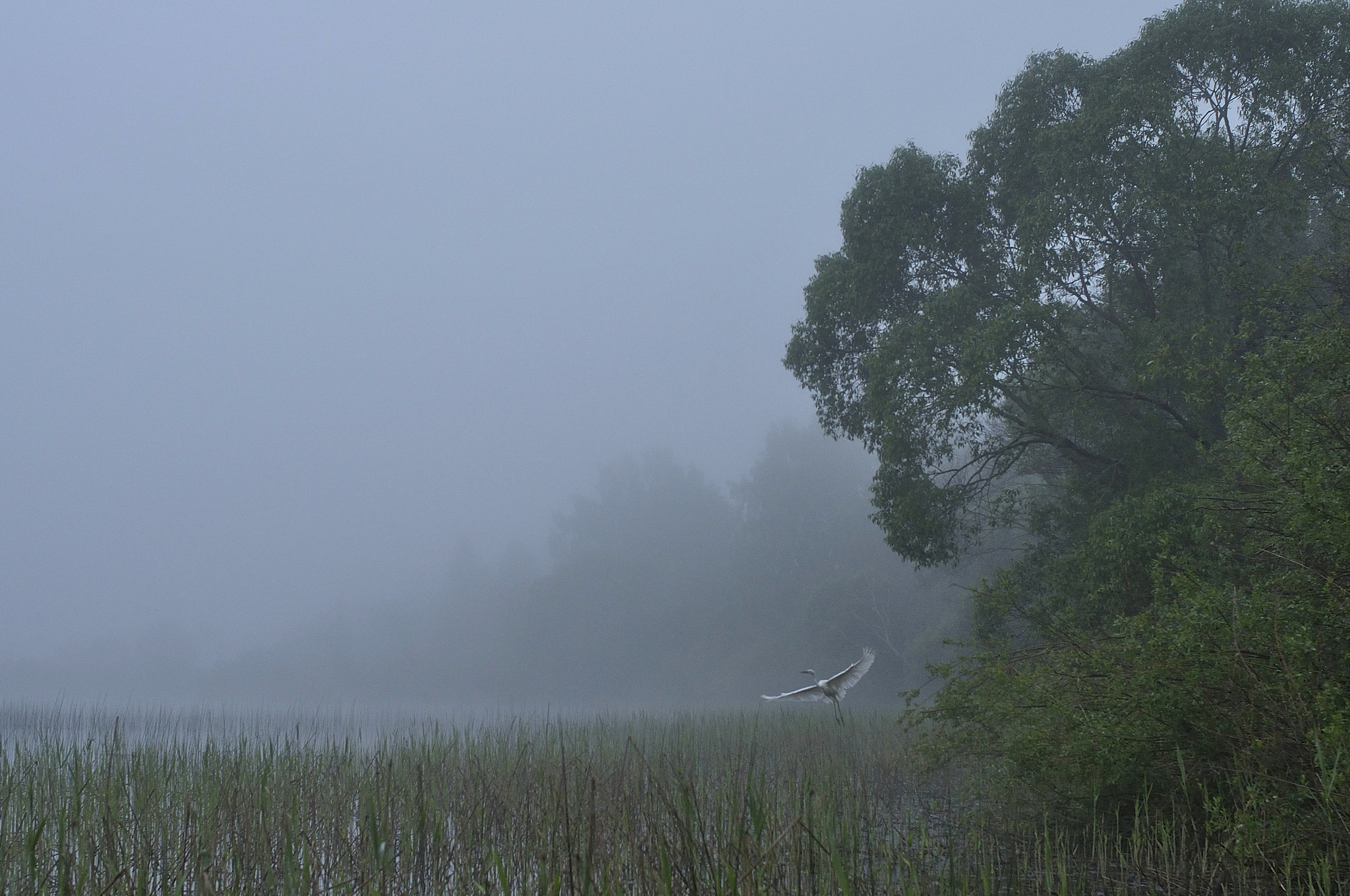 Nikon D90 sample photo. Lake kasplya photography