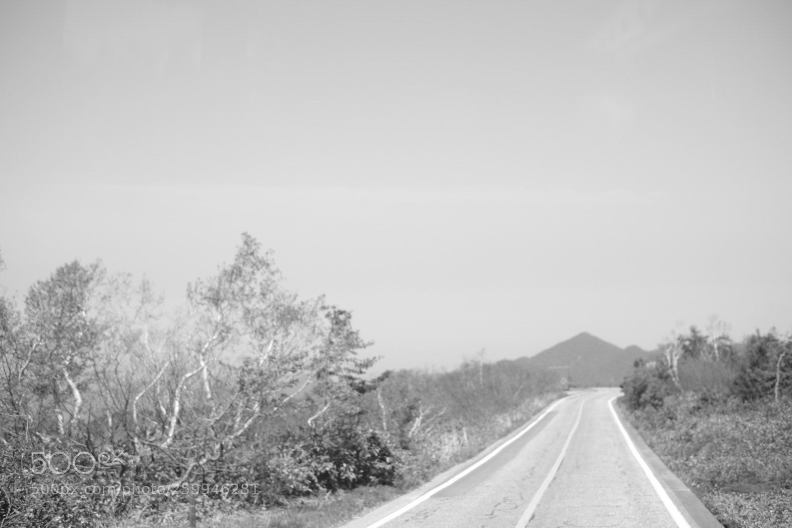 Fujifilm X-Pro2 sample photo. Untitled photography
