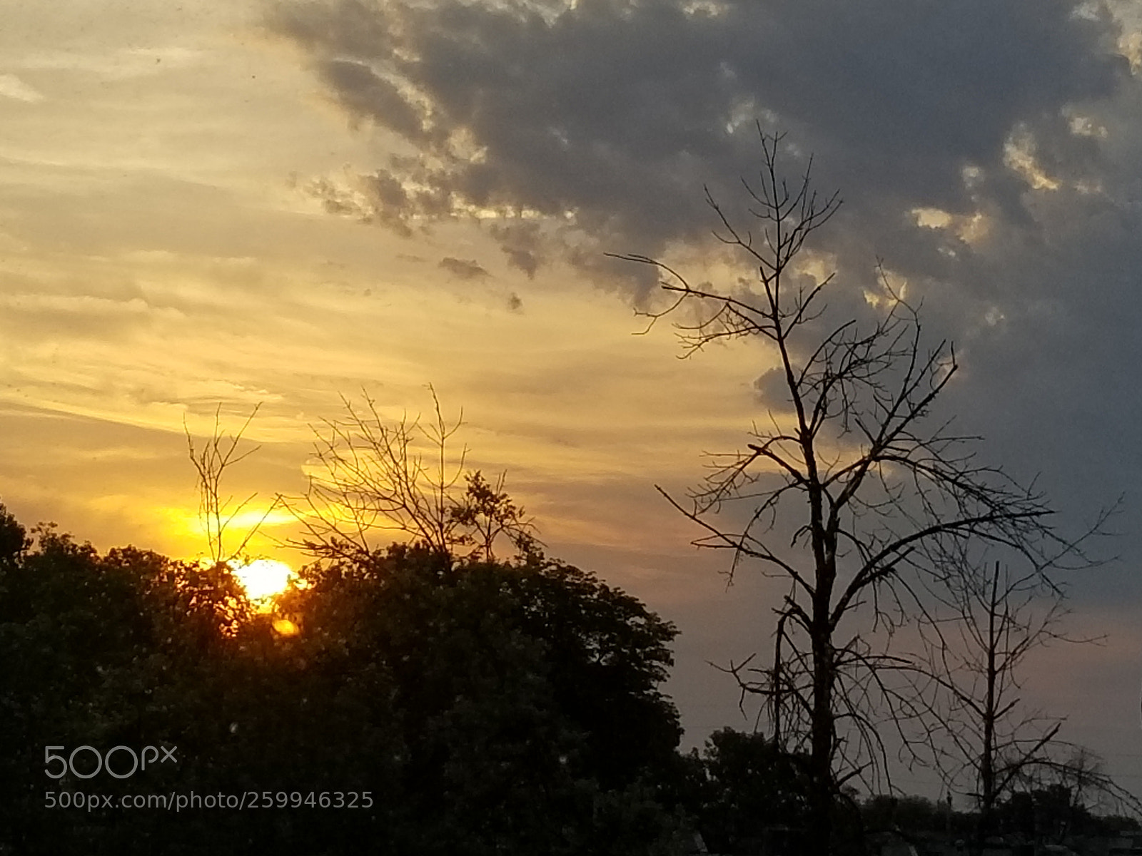 Samsung Galaxy S8 sample photo. Rising sun #2 photography