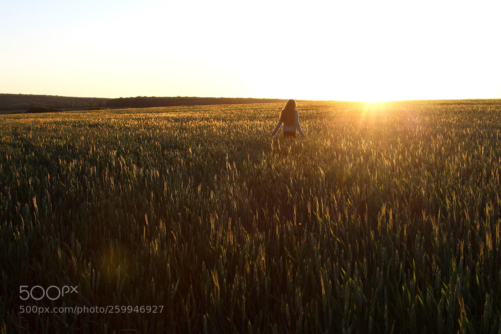 Canon EOS 650D (EOS Rebel T4i / EOS Kiss X6i) sample photo. Happy young girl with photography