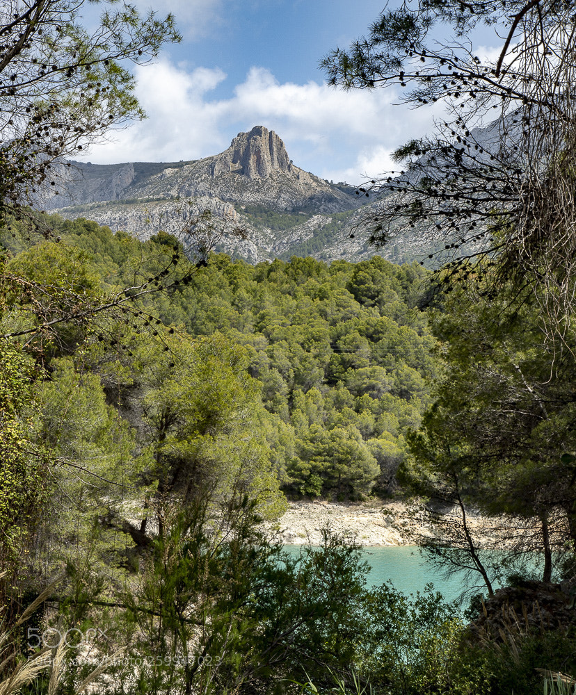 Canon EOS 6D Mark II sample photo. Wild photography