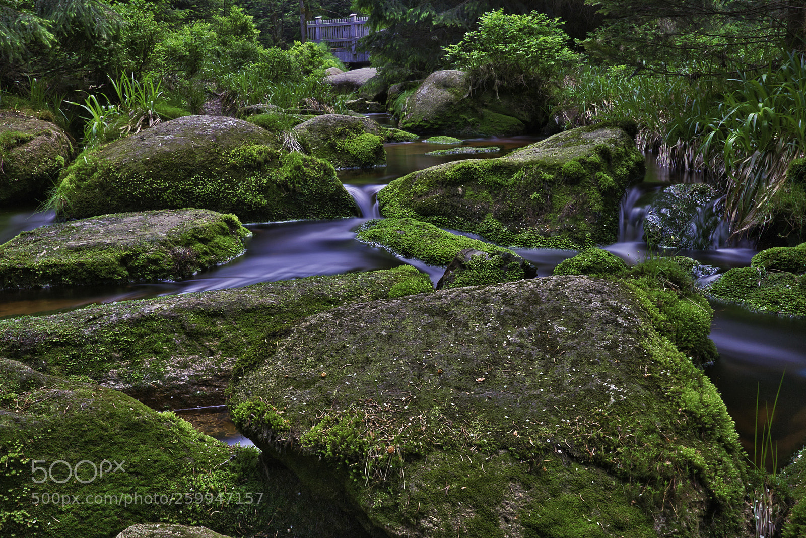 Canon EOS 80D sample photo. Creek photography