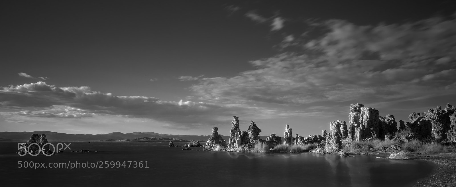 Nikon D850 sample photo. Another world photography
