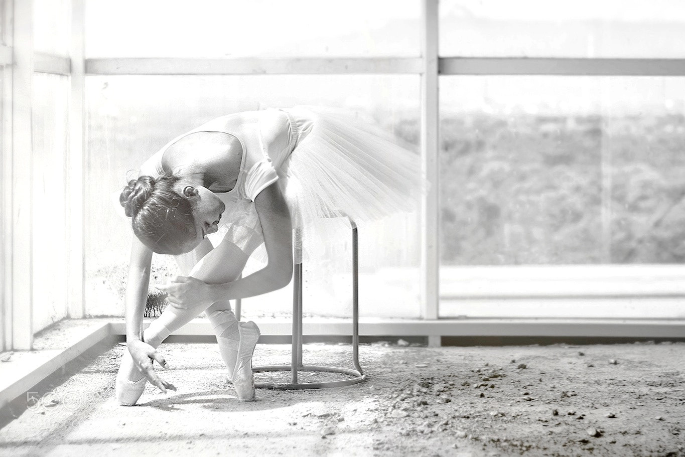 Fujifilm X-T1 sample photo. White swan photography
