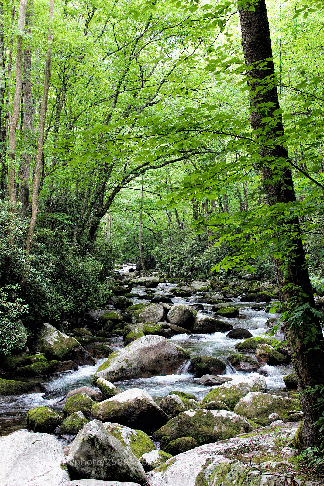 Canon EOS 600D (Rebel EOS T3i / EOS Kiss X5) sample photo. Big creek photography