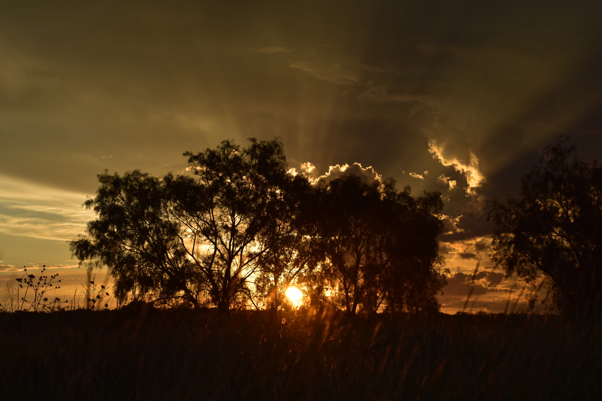 Nikon D7200 sample photo