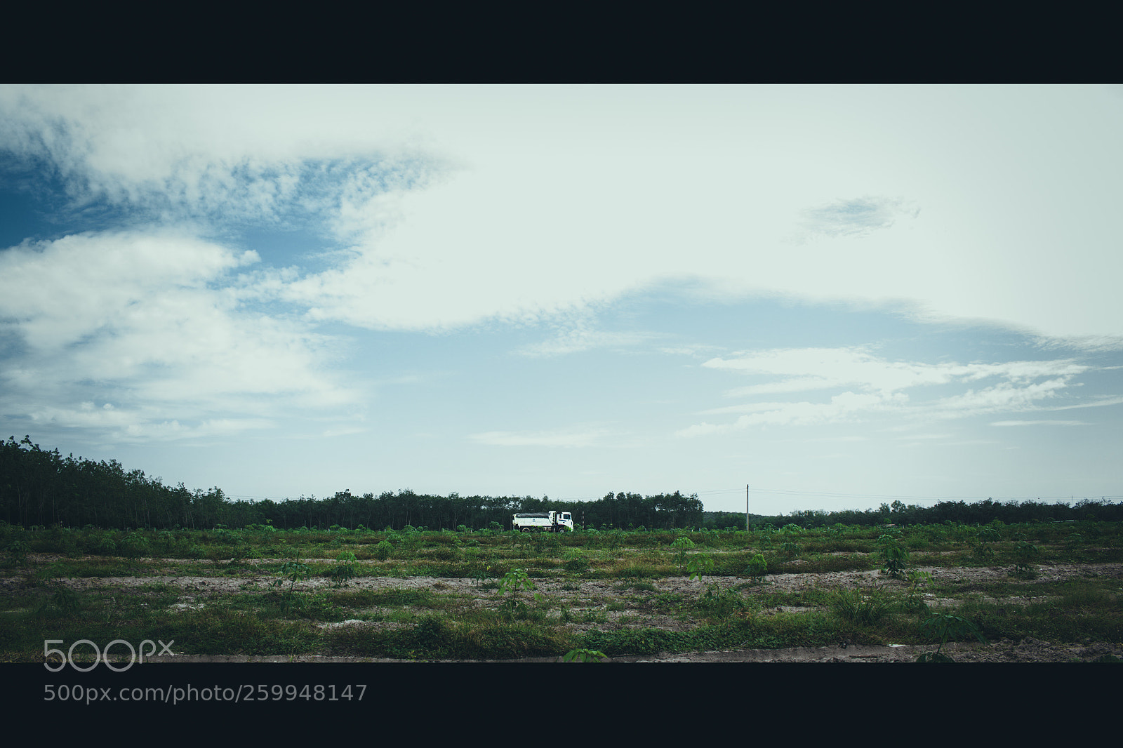 Canon EOS 700D (EOS Rebel T5i / EOS Kiss X7i) sample photo. Alone photography