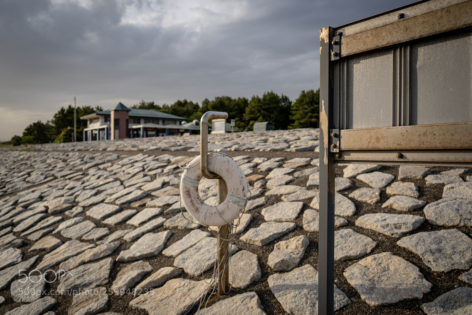 Sony a7 III sample photo. Dsc photography