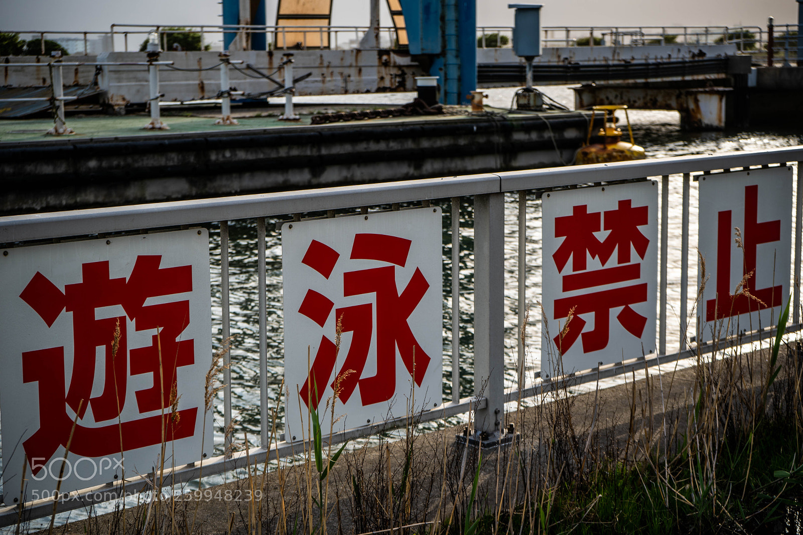 Sony a7 III sample photo. Dsc photography
