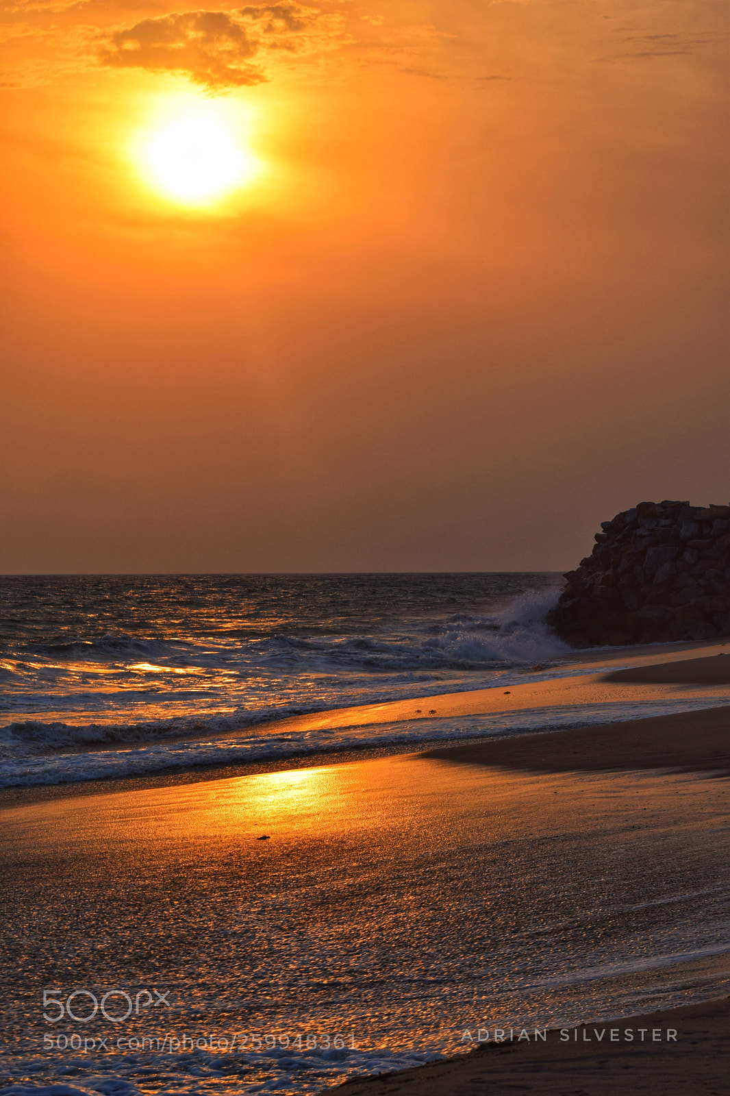 Nikon D5300 sample photo. Orange sky photography