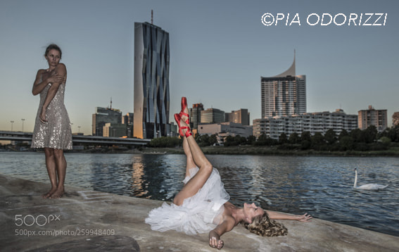 Nikon D800 sample photo. Award© photography