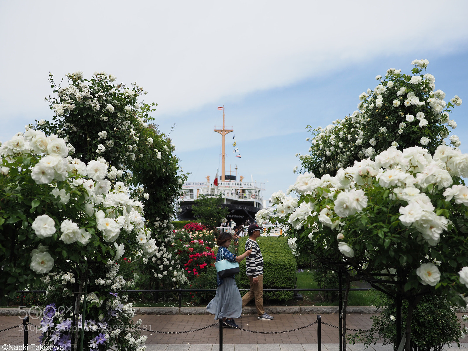 Olympus OM-D E-M1 Mark II sample photo. Nice day photography