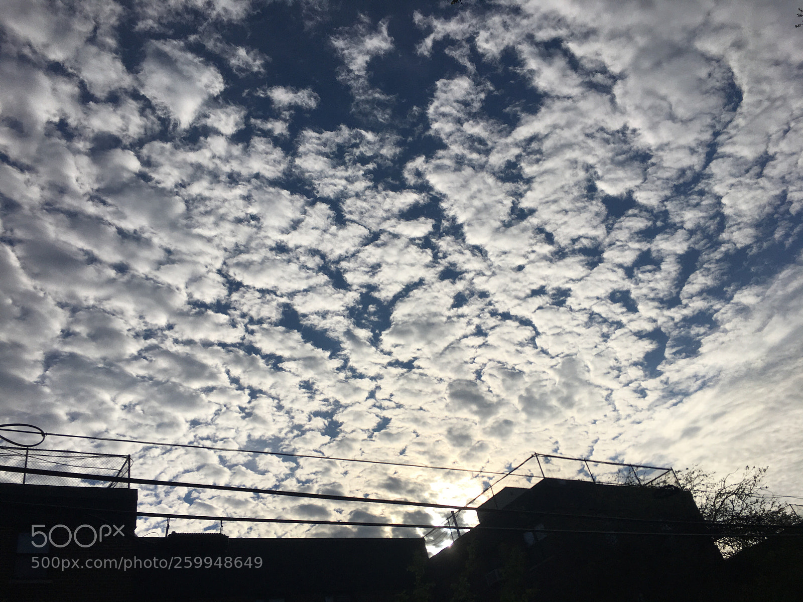 Apple iPhone 6s sample photo. Untitled photography