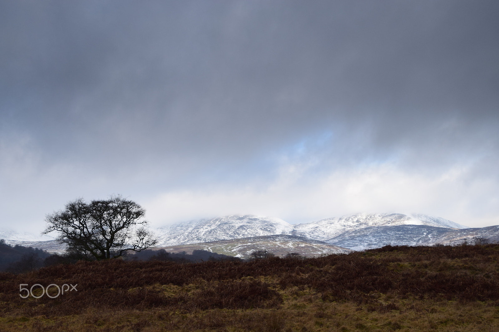 Nikon D5300 sample photo. Winter scene, near stonehaven photography