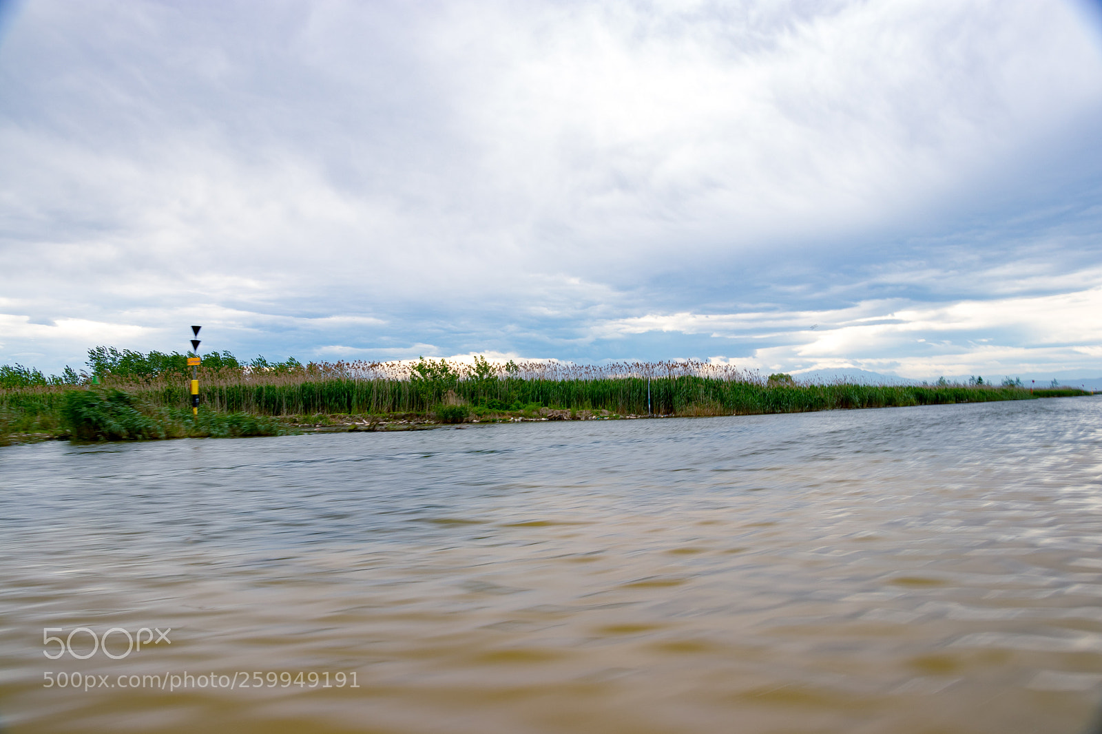 Canon EOS 80D sample photo. Anzali lagoon photography