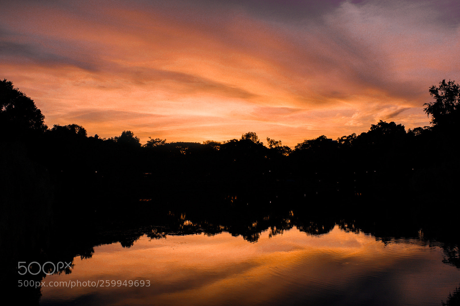 Nikon D3300 sample photo. Sunset at bishan ang photography