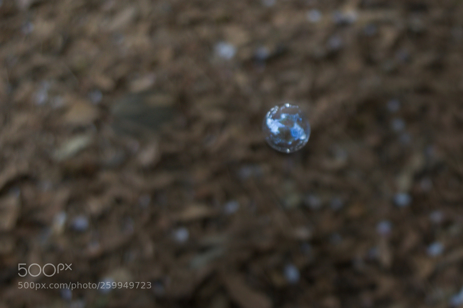 Nikon D3300 sample photo. Bubble in a park photography