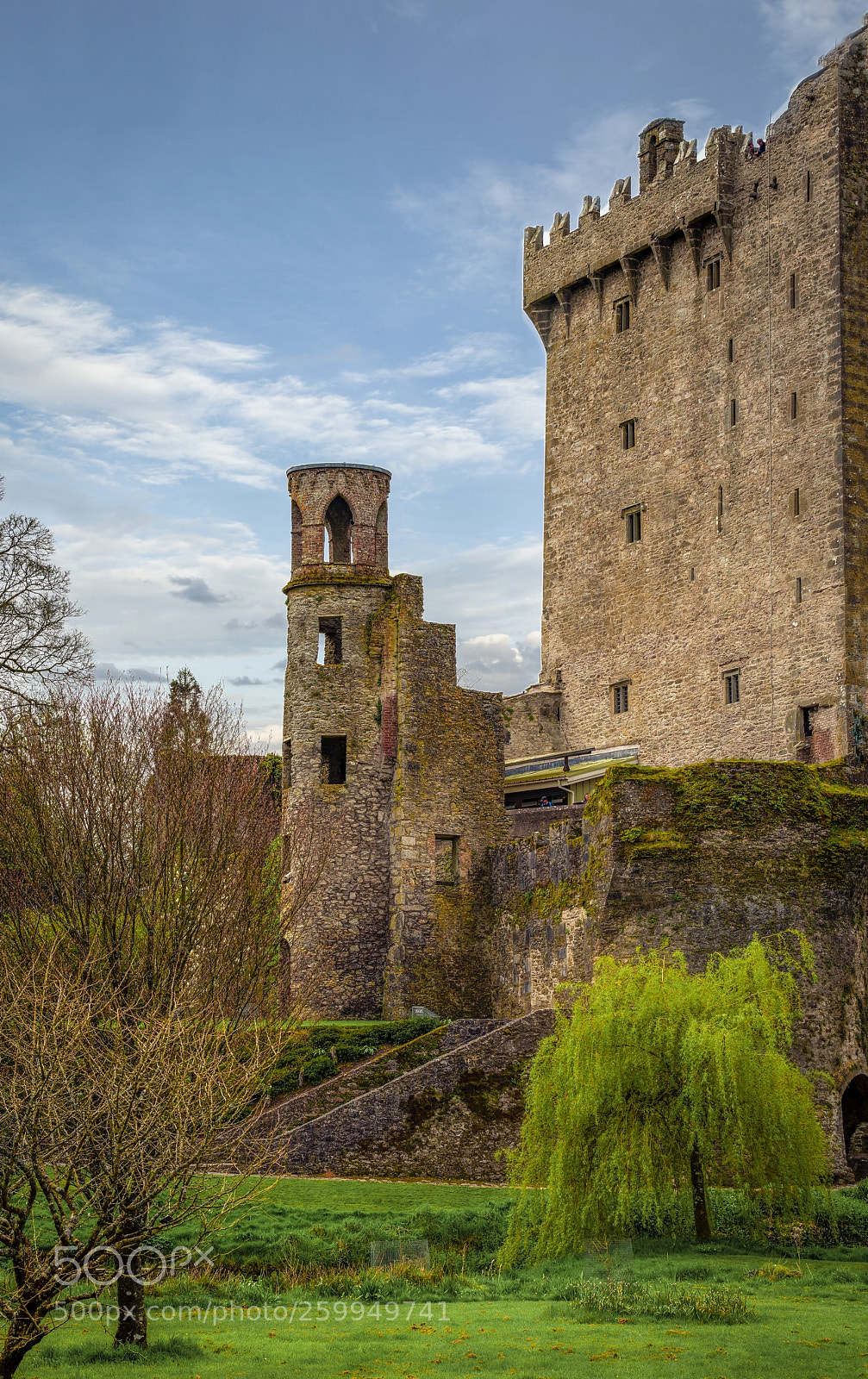Nikon D810 sample photo. Blarney castle photography