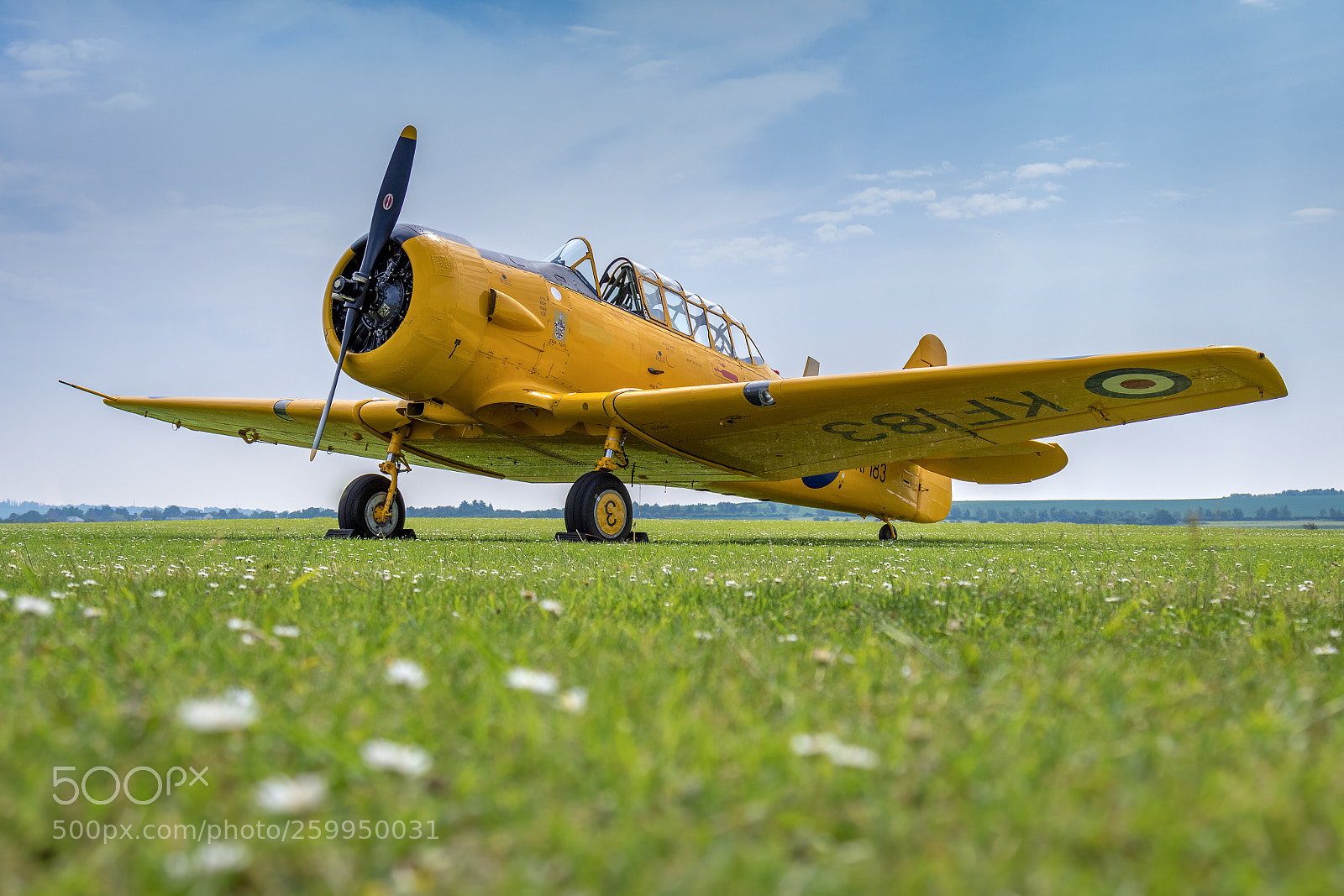 Canon EOS 7D Mark II sample photo. The little yellow plane photography
