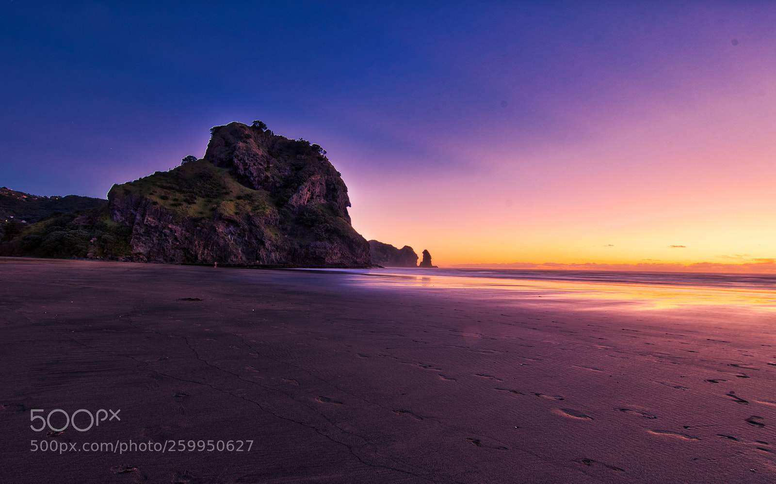 Nikon D500 sample photo. Lion rock, piha photography