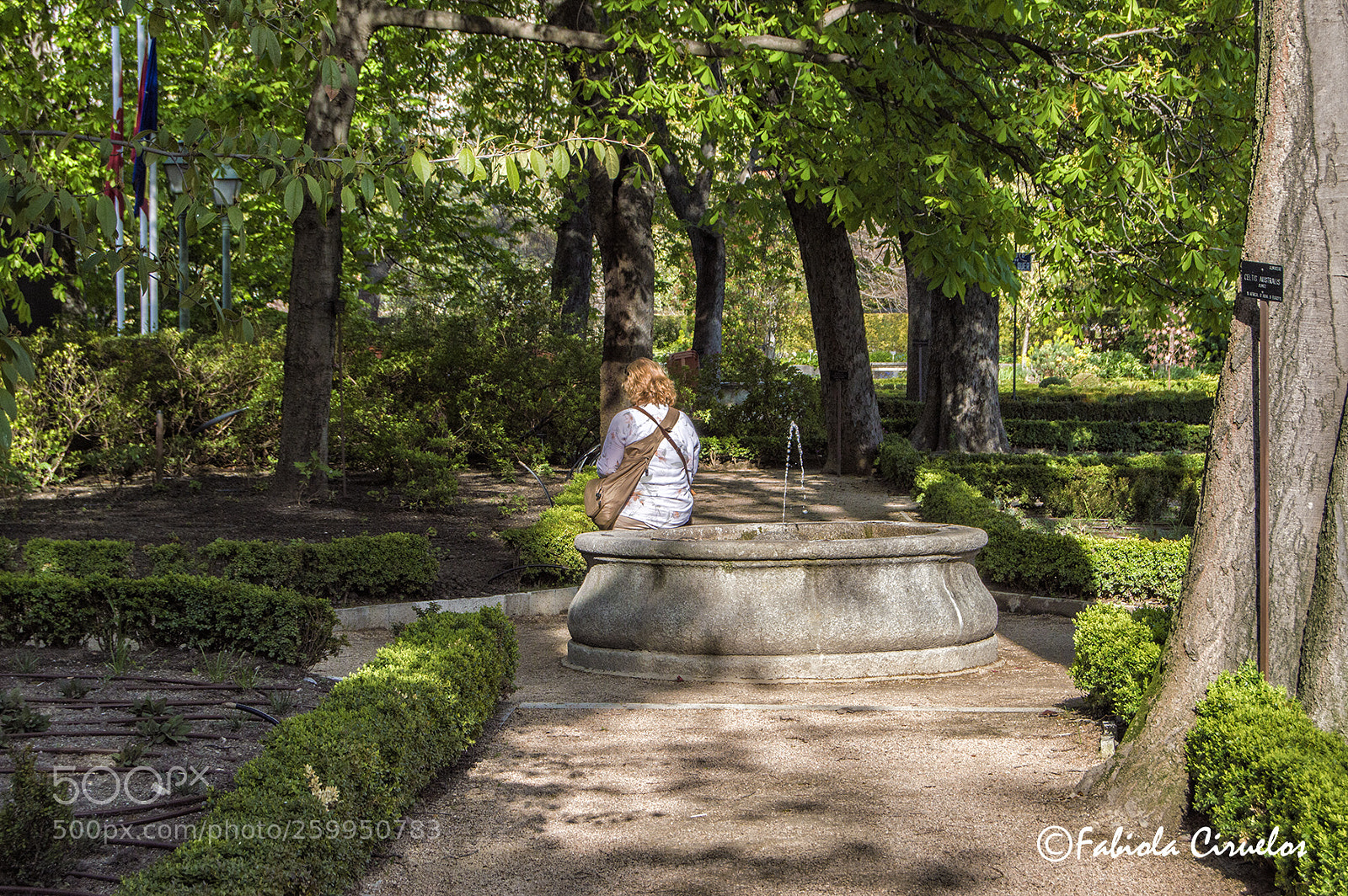 Nikon D3200 sample photo. Real jardin botanico photography