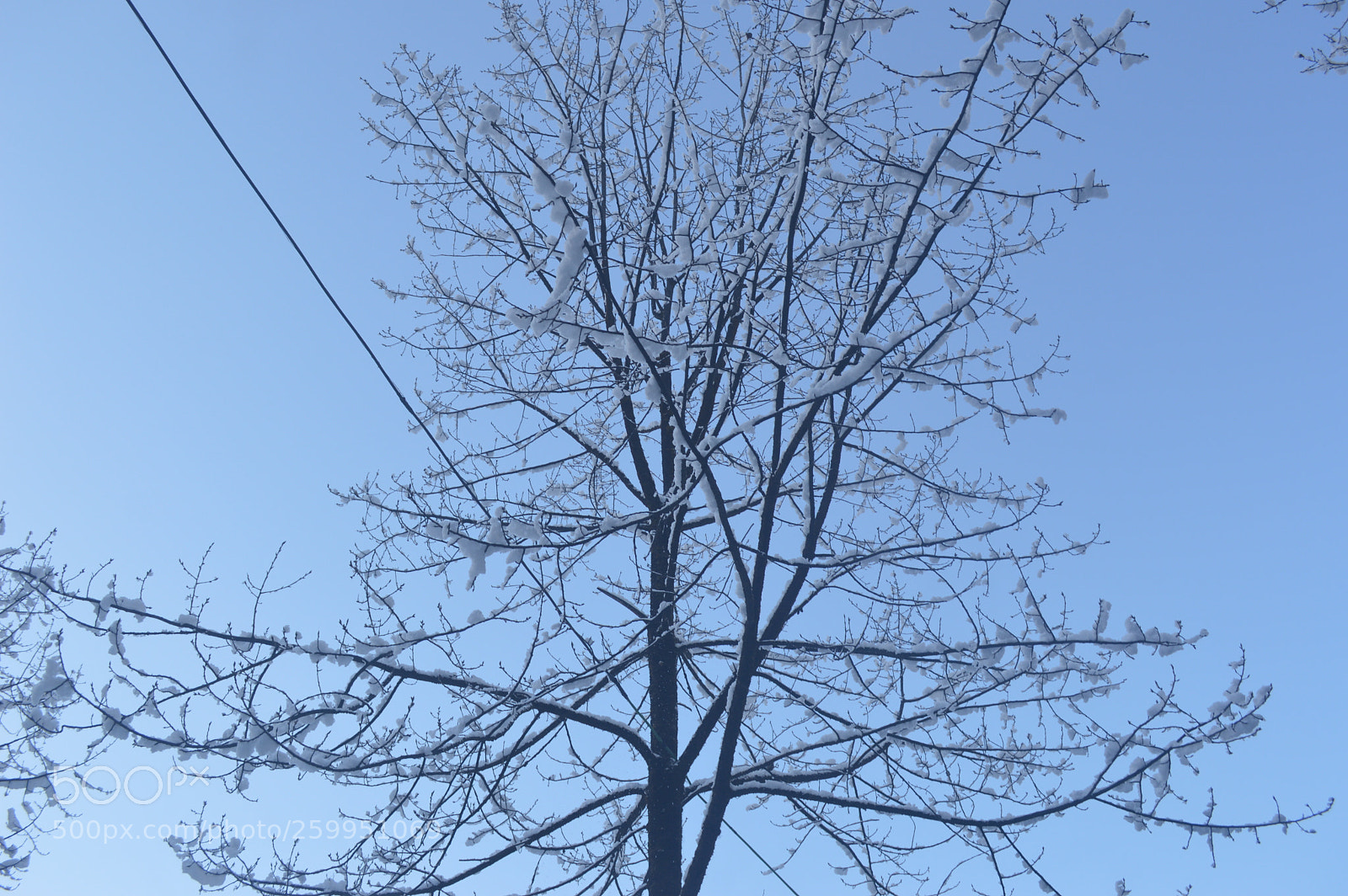 Nikon D3200 sample photo. Picture photography